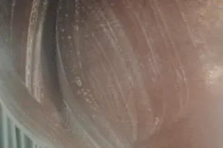 NASTZIE MOUF ANNIE - Image 1